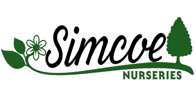 Simcoe Nurseries